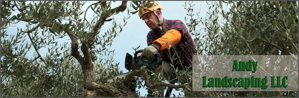 Reliable lawn mowing service for year-round maintenance across Lakewood, NJ - Andy Landscaping