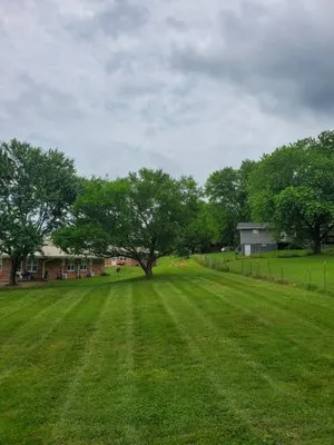 Andy Rays Lawn Care