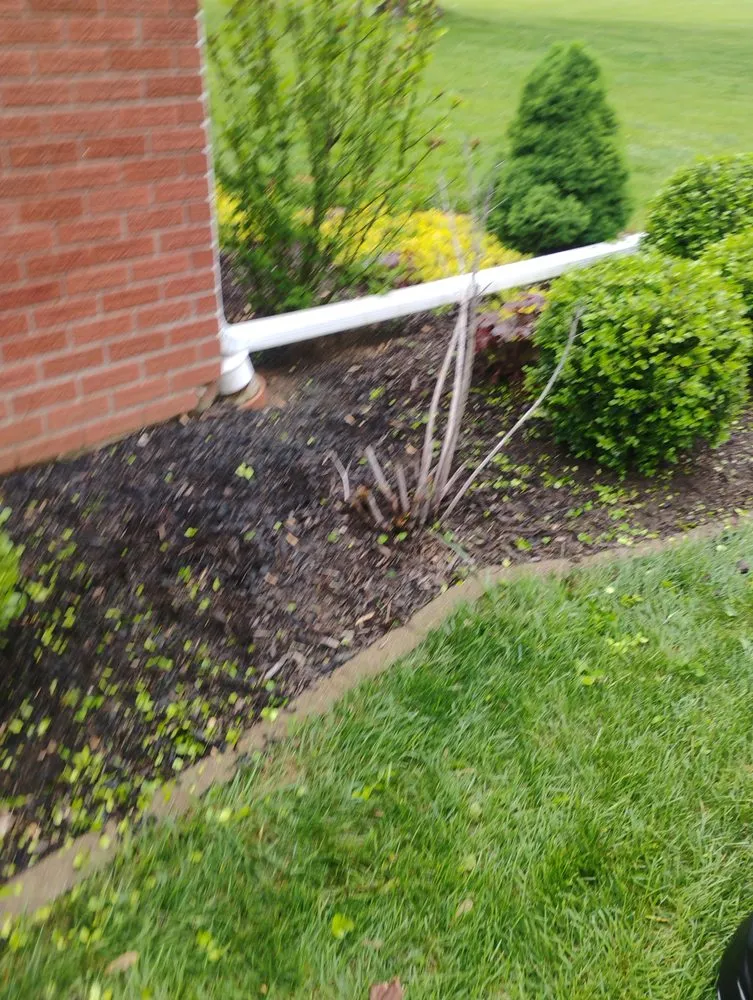 Local lawn care service for year-round maintenance in Marion, IN by Andy Services Lawn Care and Pressure Washing