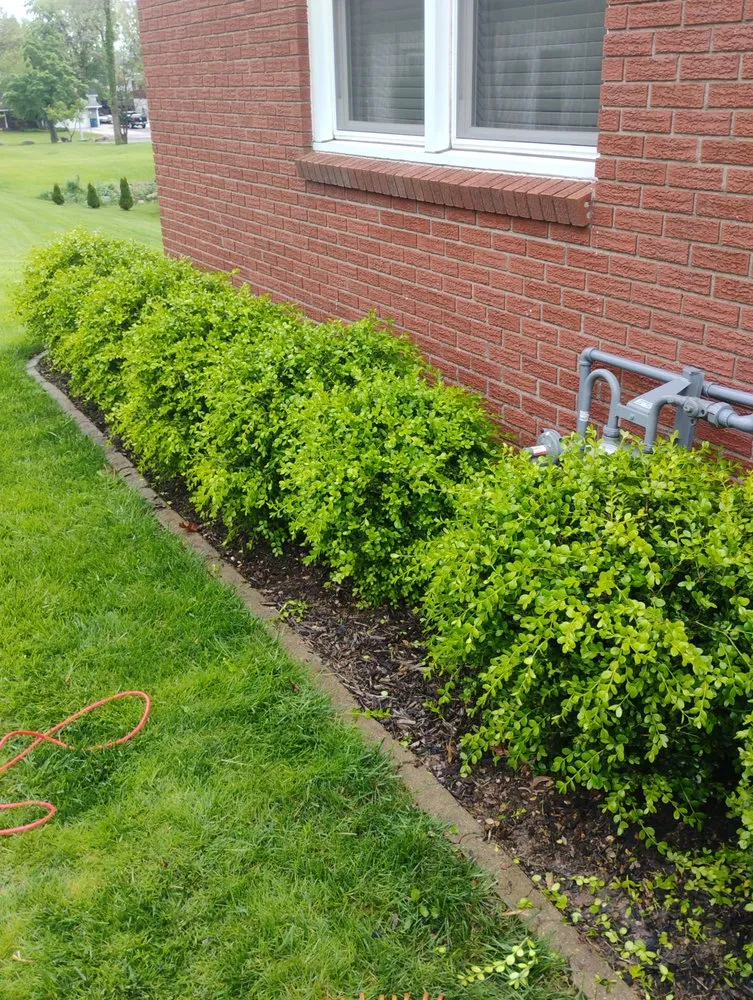 Expert landscaping services in Marion, IN - Andy Services Lawn Care and Pressure Washing