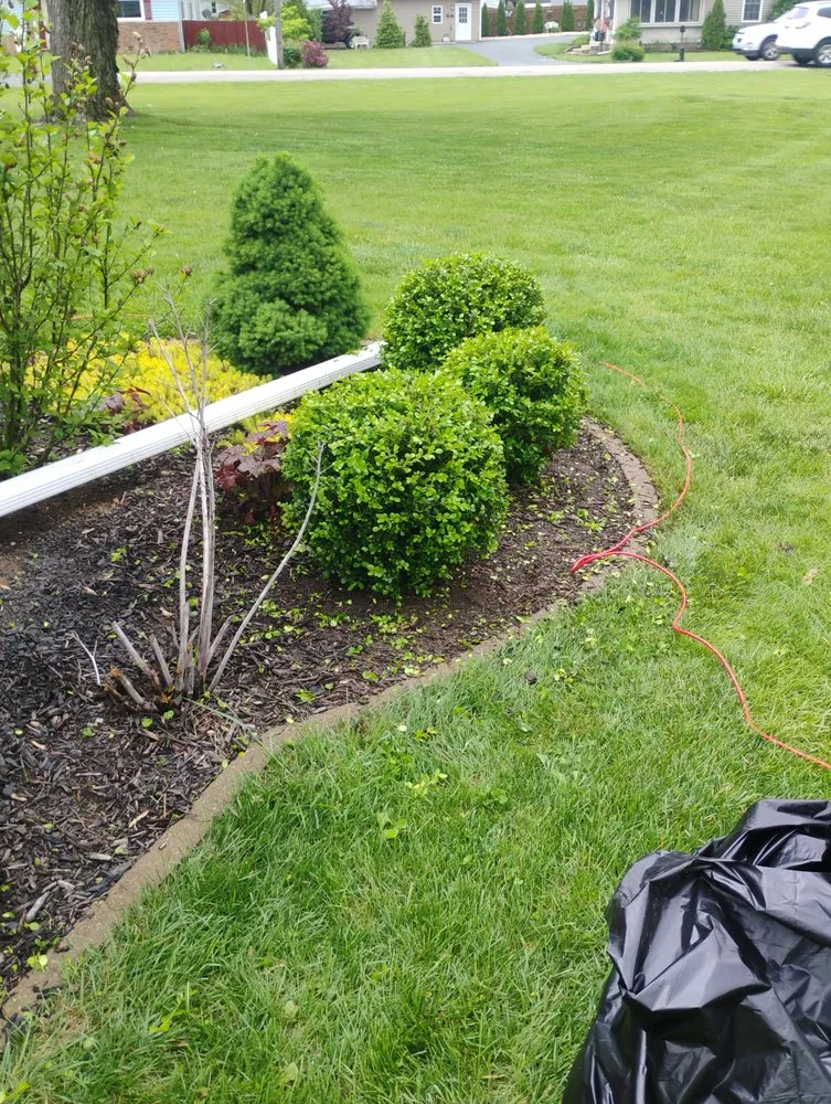Local landscape design for year-round maintenance across Marion, IN - Andy Services Lawn Care and Pressure Washing