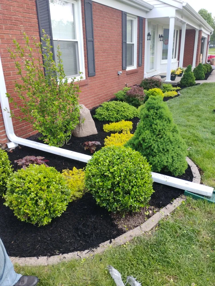 Professional residential landscaping in Marion, IN - Andy Services Lawn Care and Pressure Washing