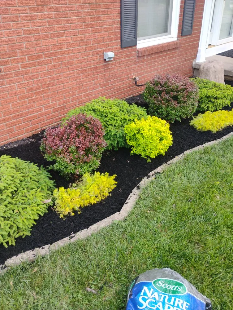 Local outdoor landscaping experts serving Marion, IN - Andy Services Lawn Care and Pressure Washing