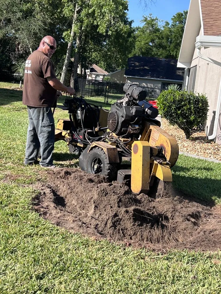 Professional garden landscaping experts serving Masaryktown, FL - Andy the Grinder Guy