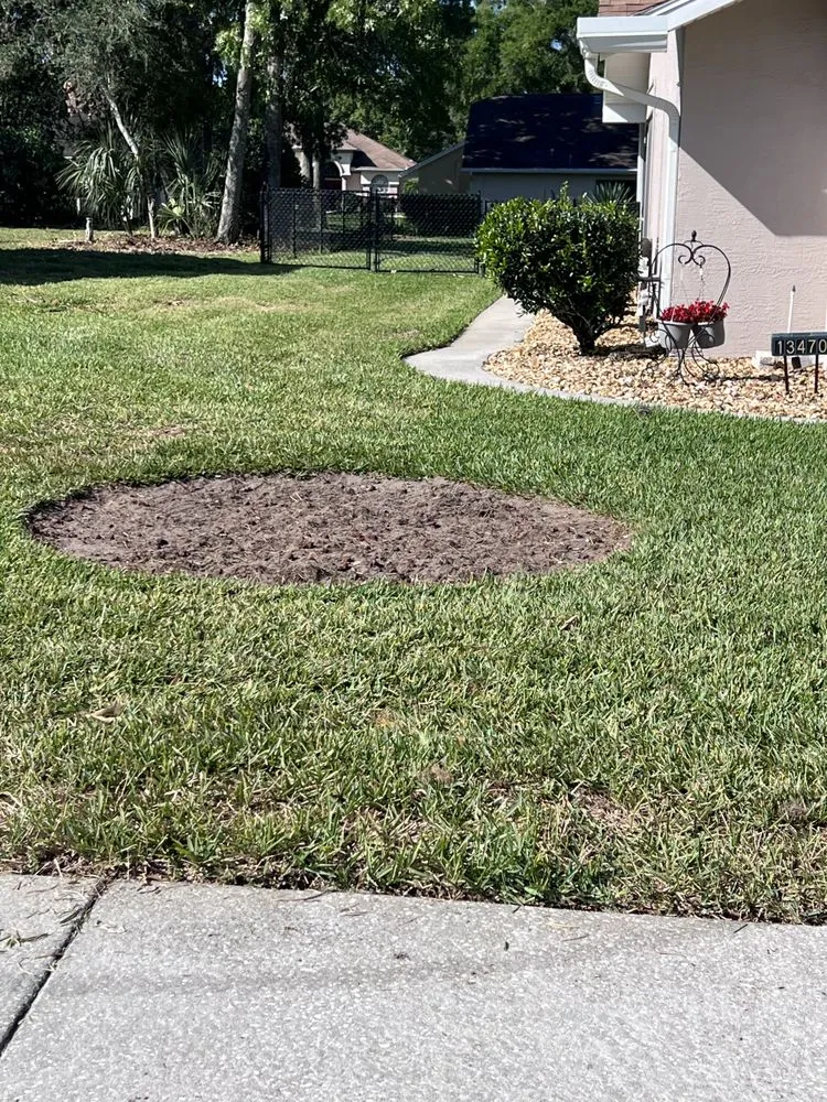 Expert lawn mowing service in Masaryktown, FL by Andy the Grinder Guy