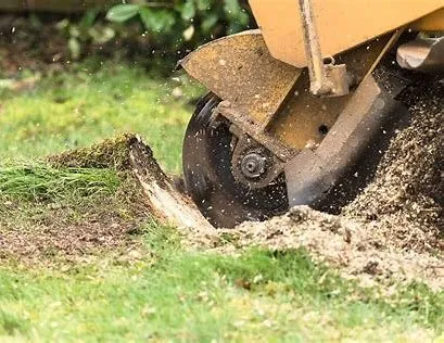 Trusted lawn mowing service experts serving Masaryktown, FL - Andy the Grinder Guy