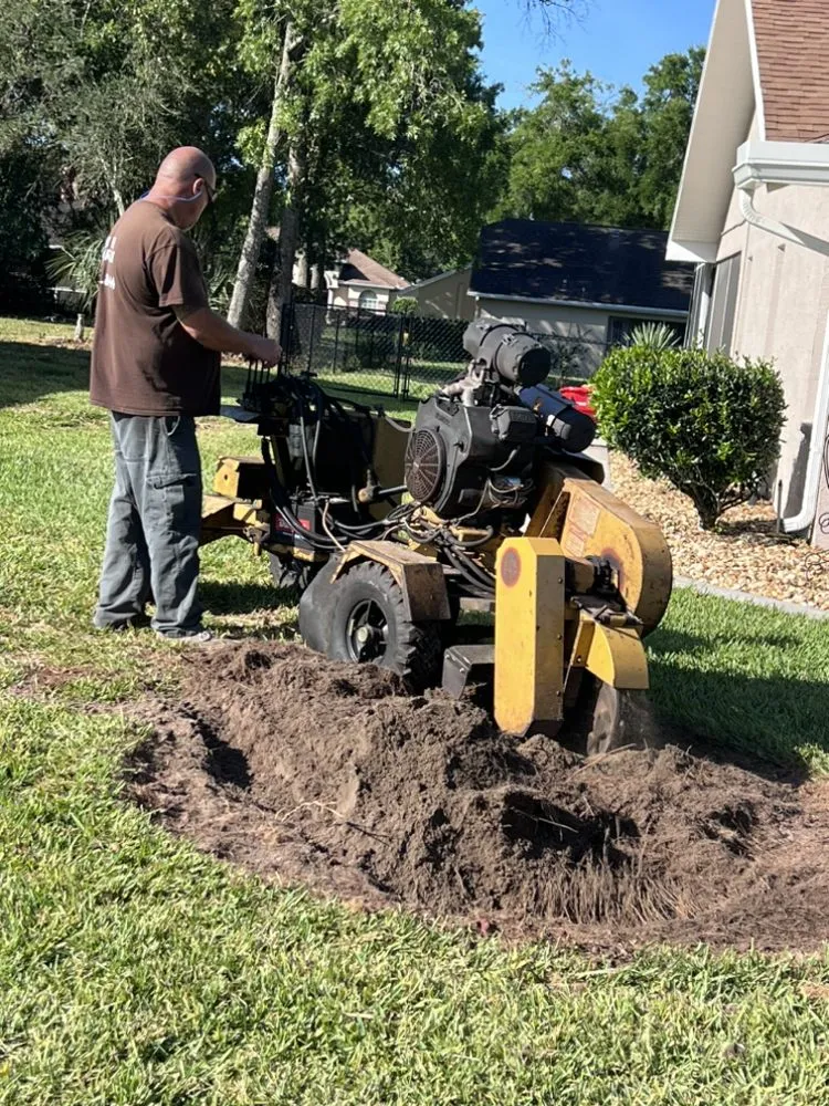 Affordable yard cleanup service in Masaryktown, FL by Andy the Grinder Guy