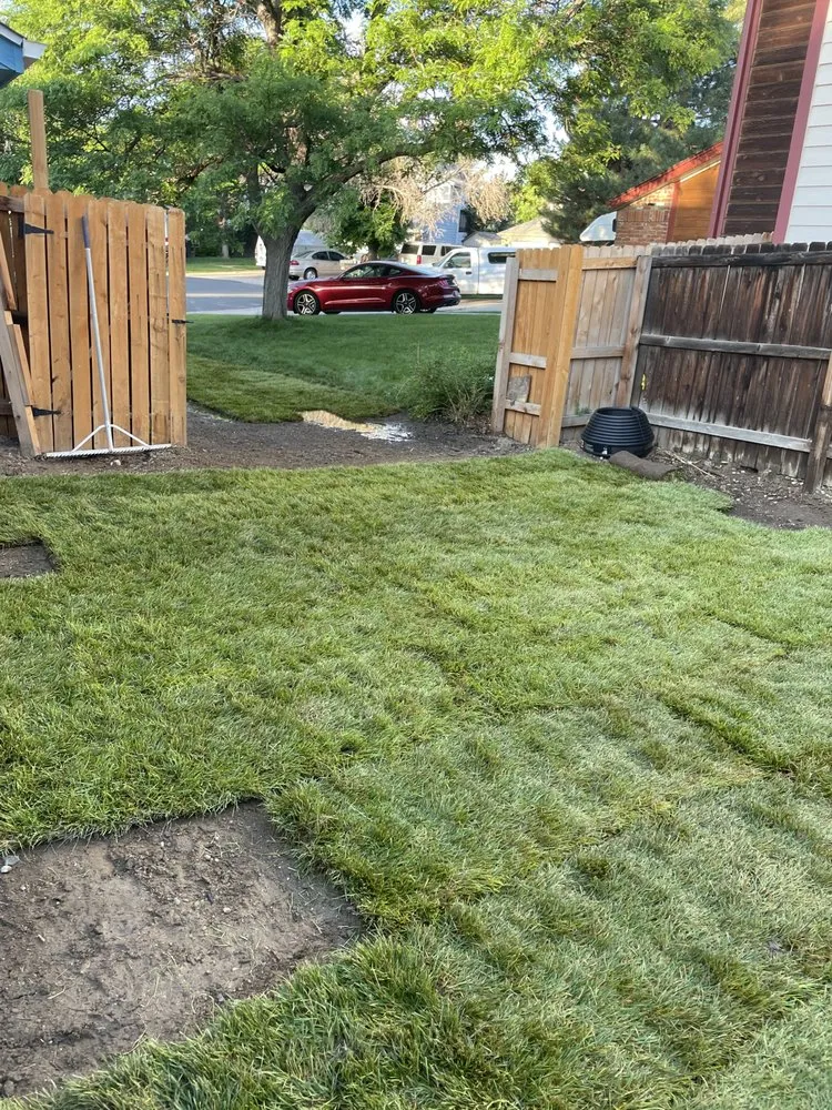 Custom landscaping services experts serving Thornton, CO - Andy’s Clearwater sprinklers and sod