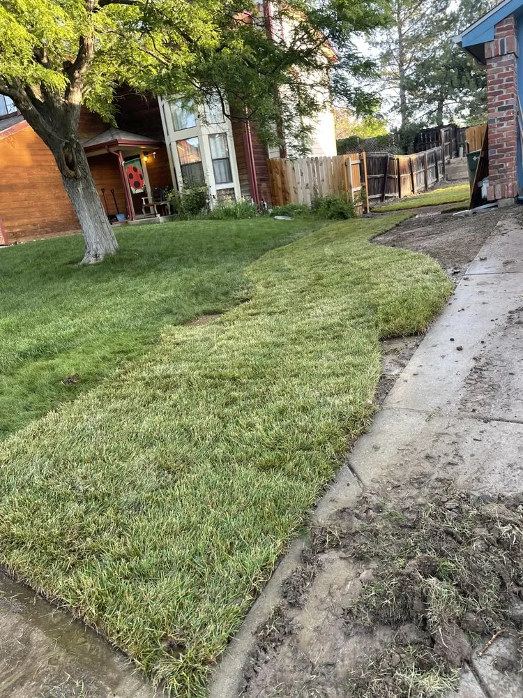 Expert landscaping services for outdoor upgrades in Thornton, CO by Andy’s Clearwater sprinklers and sod