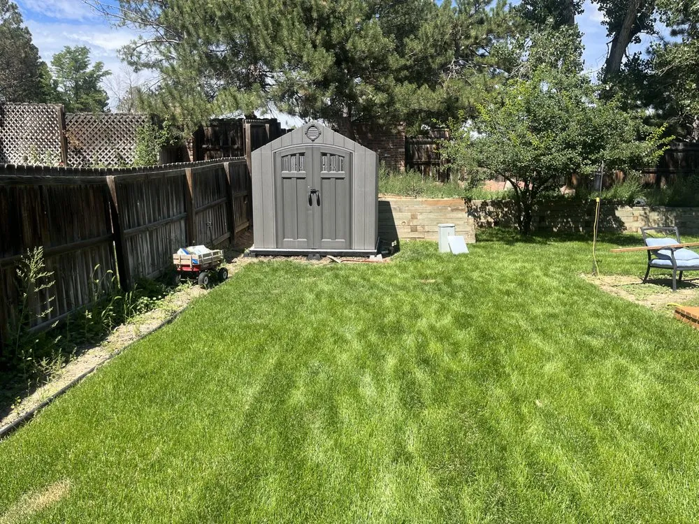 Trusted landscape design in Thornton, CO - Andy’s Clearwater sprinklers and sod