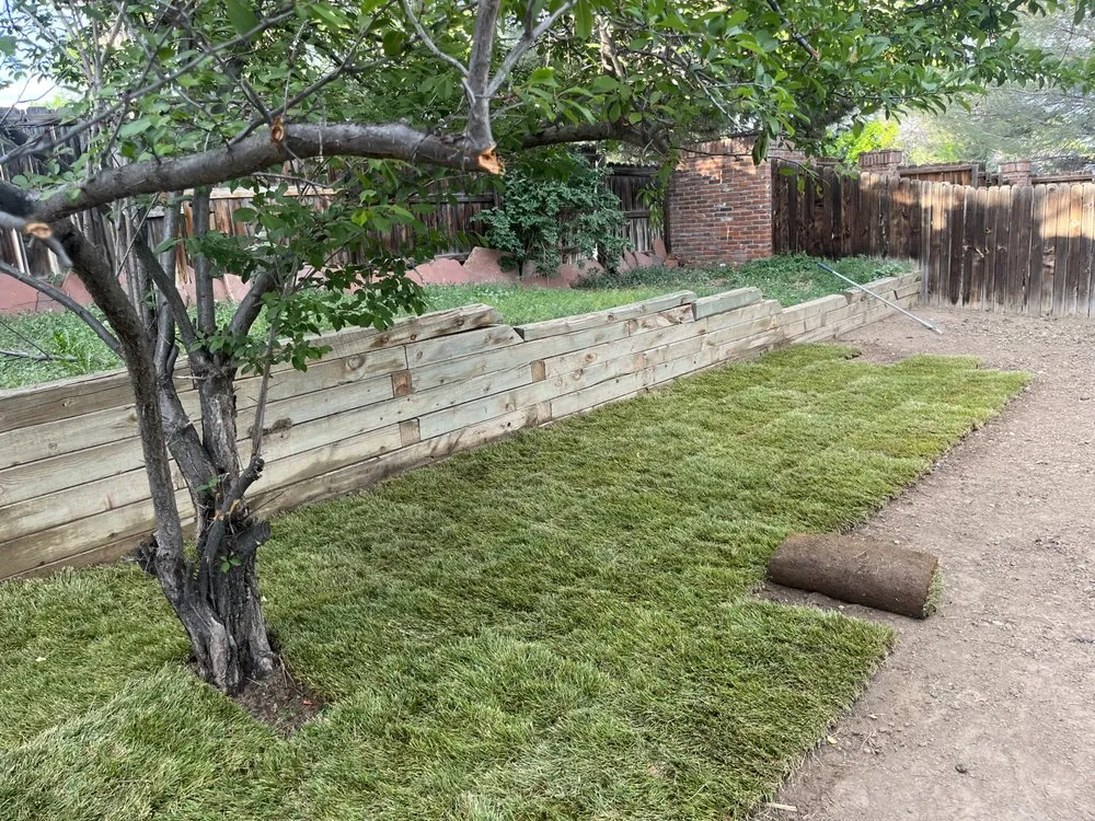 Trusted yard maintenance in Thornton, CO by Andy’s Clearwater sprinklers and sod