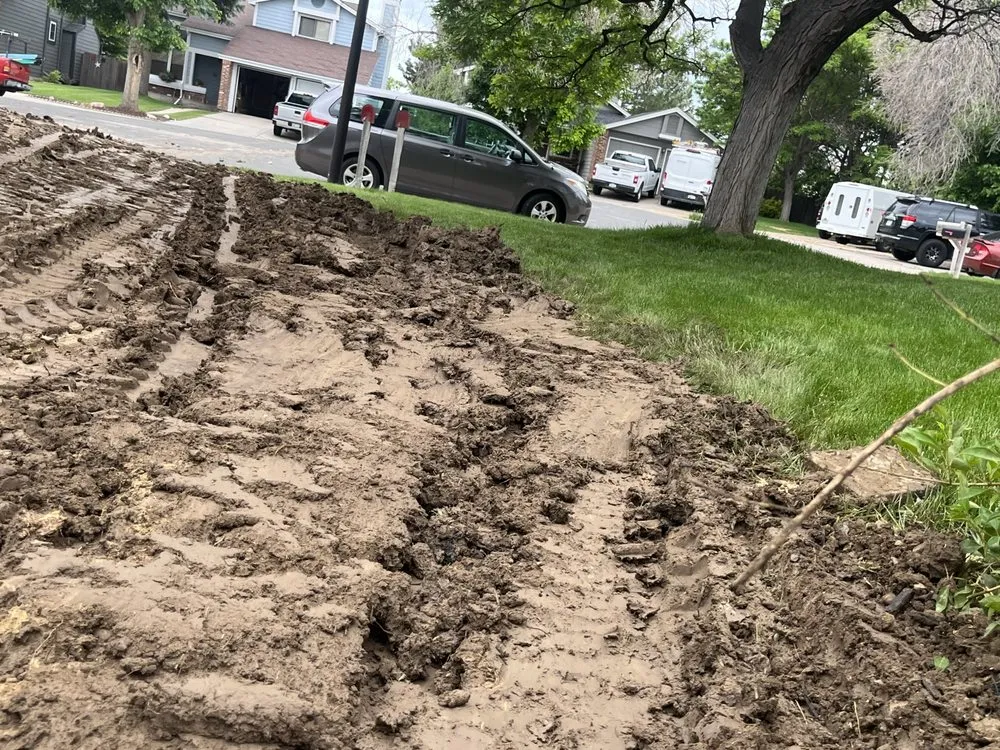 Reliable outdoor landscaping experts serving Thornton, CO - Andy’s Clearwater sprinklers and sod