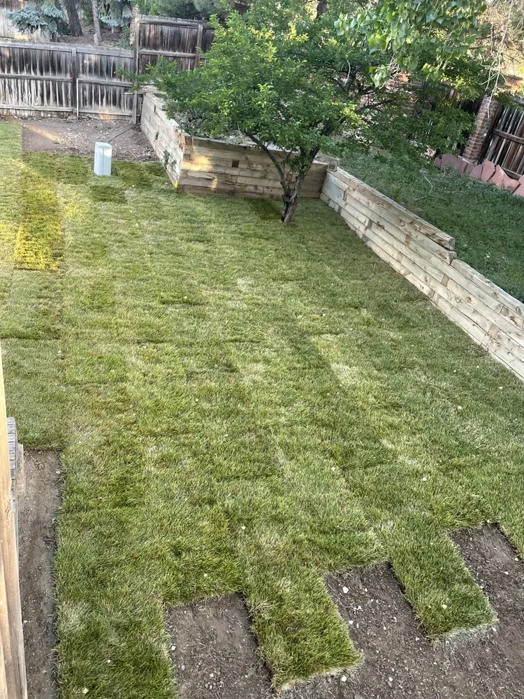 Affordable landscaping services in Thornton, CO by Andy’s Clearwater sprinklers and sod