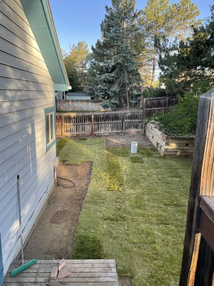 Custom yard cleanup service for homes across Thornton, CO - Andy’s Clearwater sprinklers and sod
