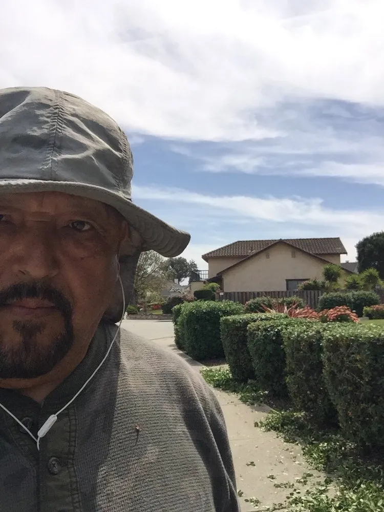 Top-rated outdoor landscaping in Redwood City, CA by Andy's Gardening and Landscape