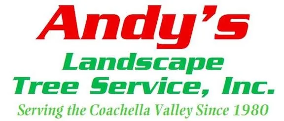 Custom outdoor landscaping for beautiful yards in Bermuda Dunes, CA by Andy's Landscape & Tree Service