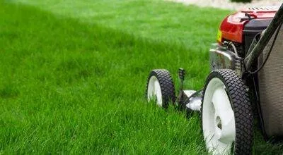 Affordable yard cleanup service in Waxahachie, TX by Andy's Landscaping Cleanup & Revival