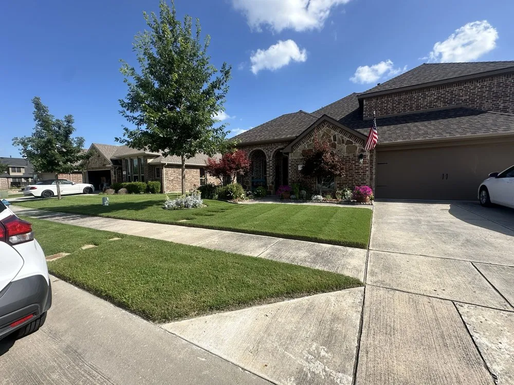 Expert yard cleanup service experts serving Fate, TX - Andy’s Landscaping
