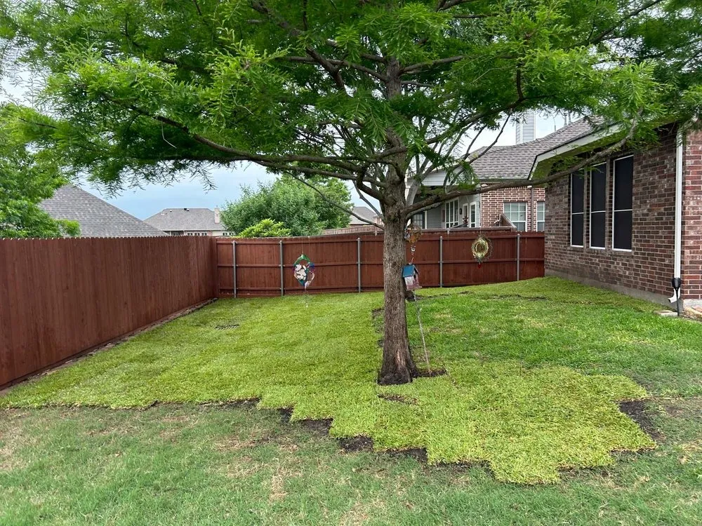 Local garden landscaping for year-round maintenance across Fate, TX - Andy’s Landscaping