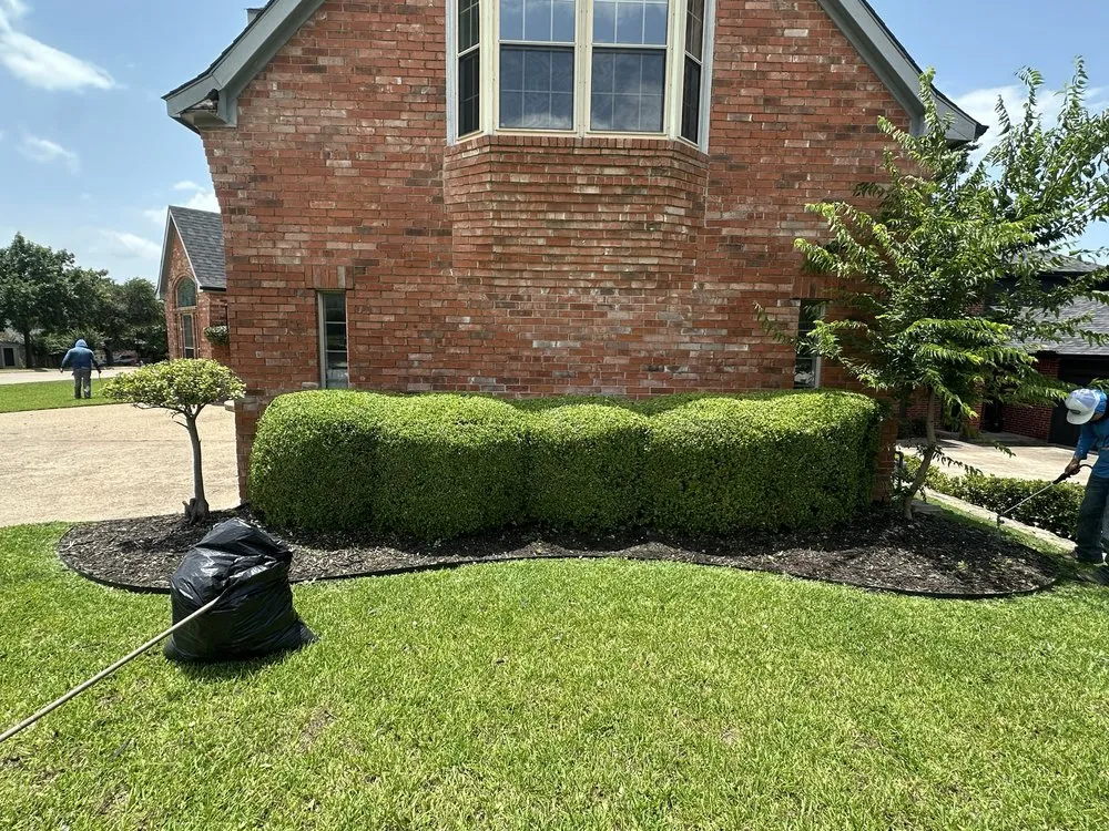 Trusted garden landscaping near you across Fate, TX - Andy’s Landscaping