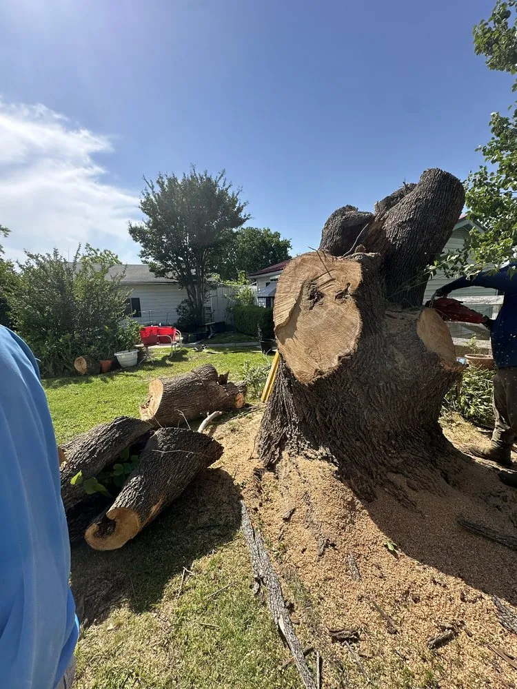 Expert residential landscaping in Fate, TX by Andy’s Landscaping