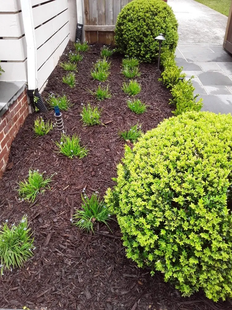 Affordable residential landscaping for beautiful yards in Norcross, GA by Andy's Landscaping