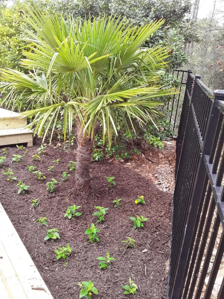 Top-rated outdoor landscaping experts serving Norcross, GA - Andy's Landscaping