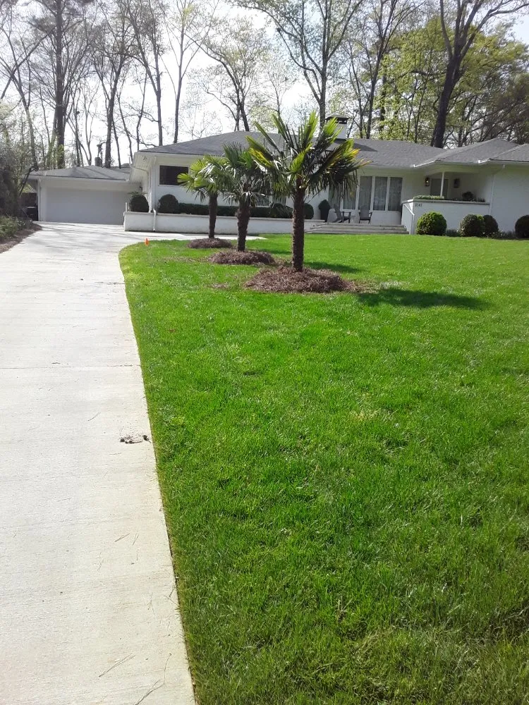 Top-rated landscaping services in Norcross, GA by Andy's Landscaping