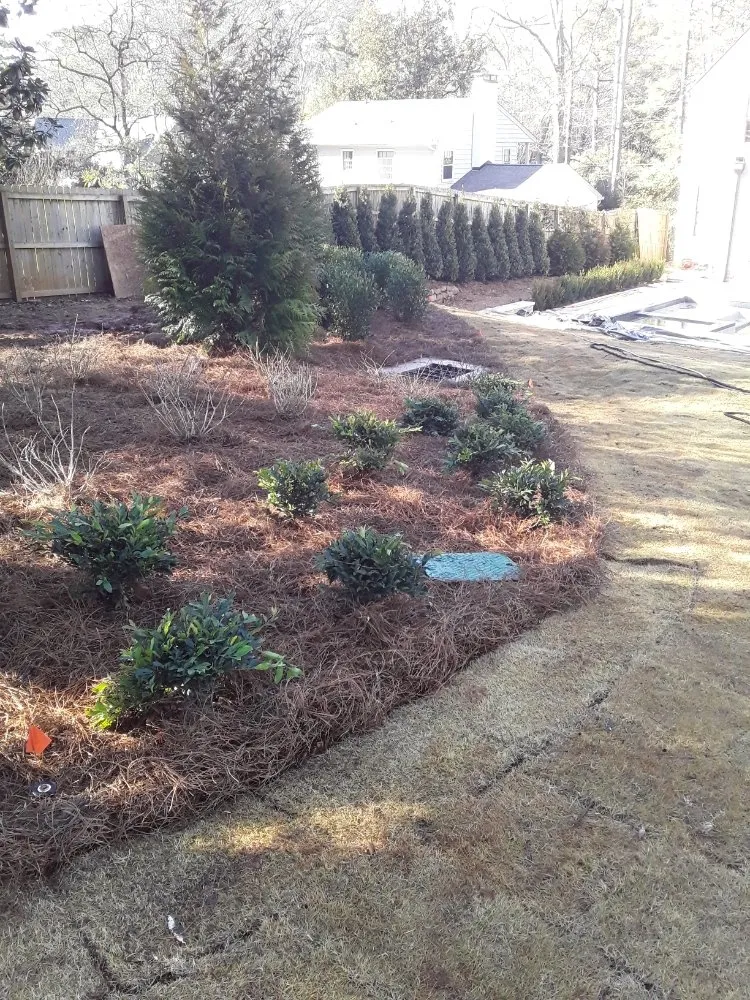 Trusted landscaping services for homes across Norcross, GA - Andy's Landscaping