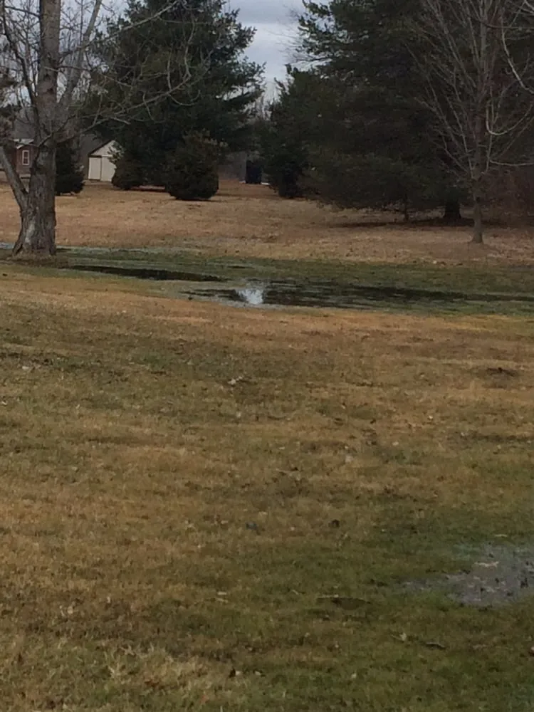 Expert landscaping services for residential properties across Saint Clair, MI - Andy's Lawn & Landscape