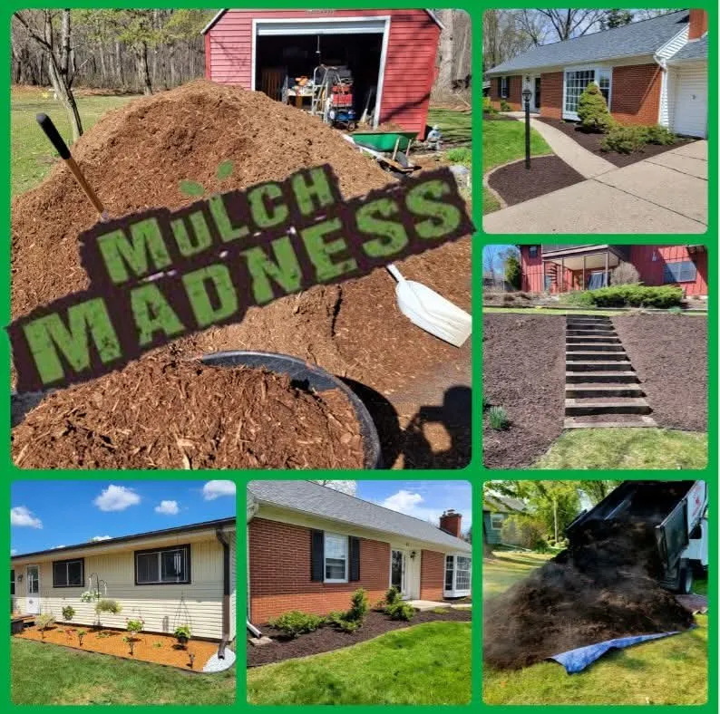 Custom yard maintenance in Janesville, WI by Andy's Lawn & Snow