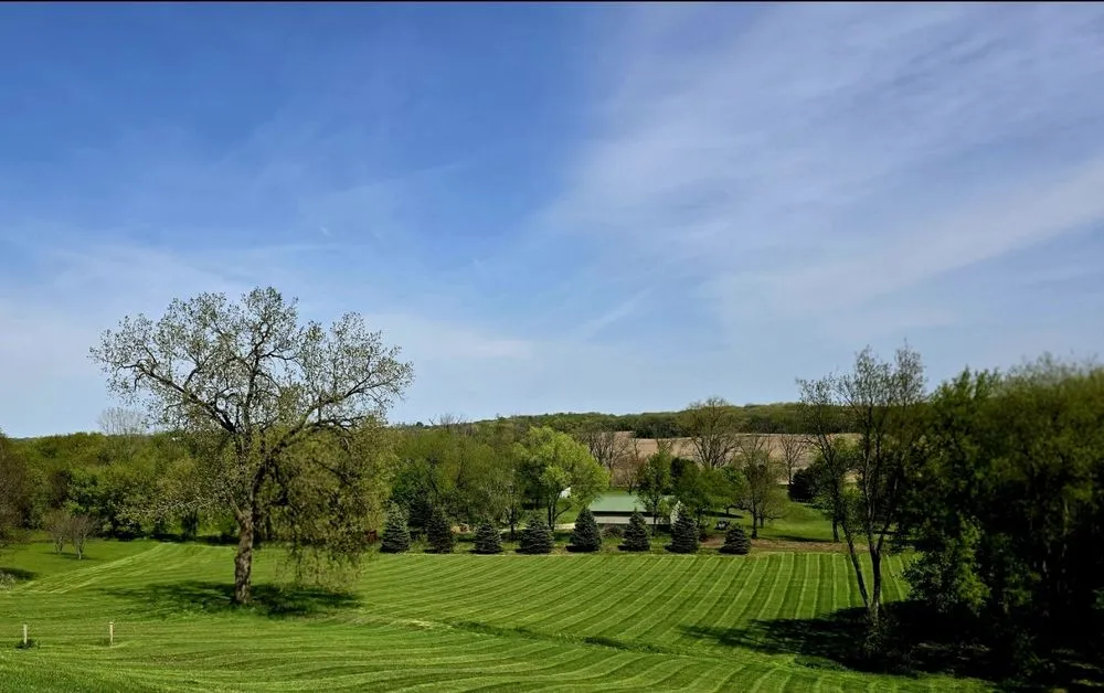 Expert lawn care service in Janesville, WI by Andy's Lawn & Snow