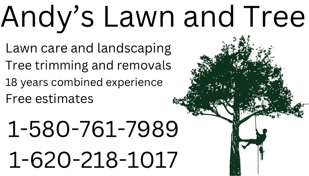 Top-rated landscape design in Wichita, KS - Andy’s Lawn And Tree