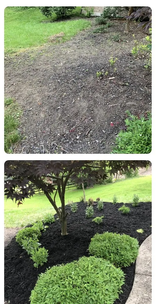 Reliable landscaping services for residential properties across Garland, TX - Andys Lawn Care and Landscape