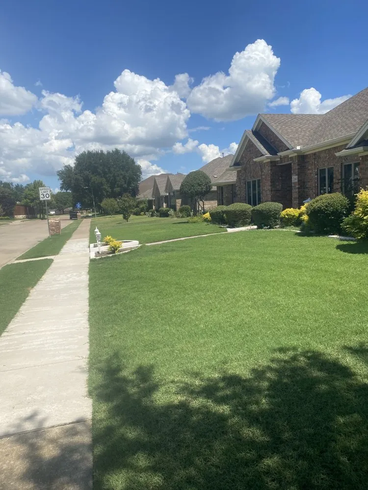 Trusted yard maintenance for year-round maintenance across Garland, TX - Andys Lawn Care and Landscape