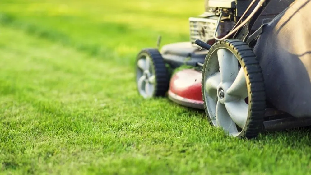 Top-rated lawn mowing service in Carlisle, IA - Andy's Lawn Care