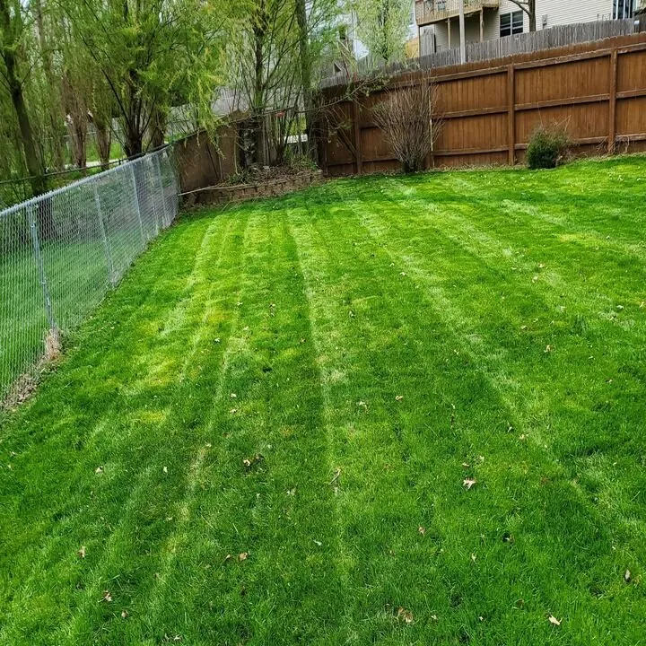 Trusted landscape design in Cedar Rapids, IA by Andy's Lawn Care