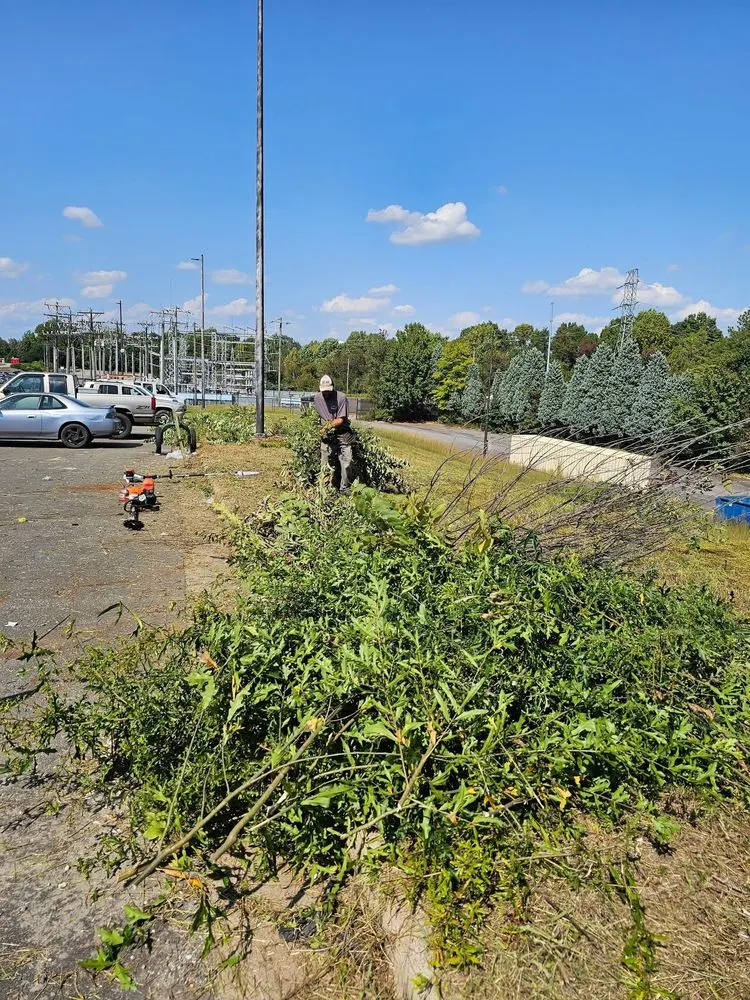 Trusted landscape design in Claremont, NC - Andy’s Lawn Care