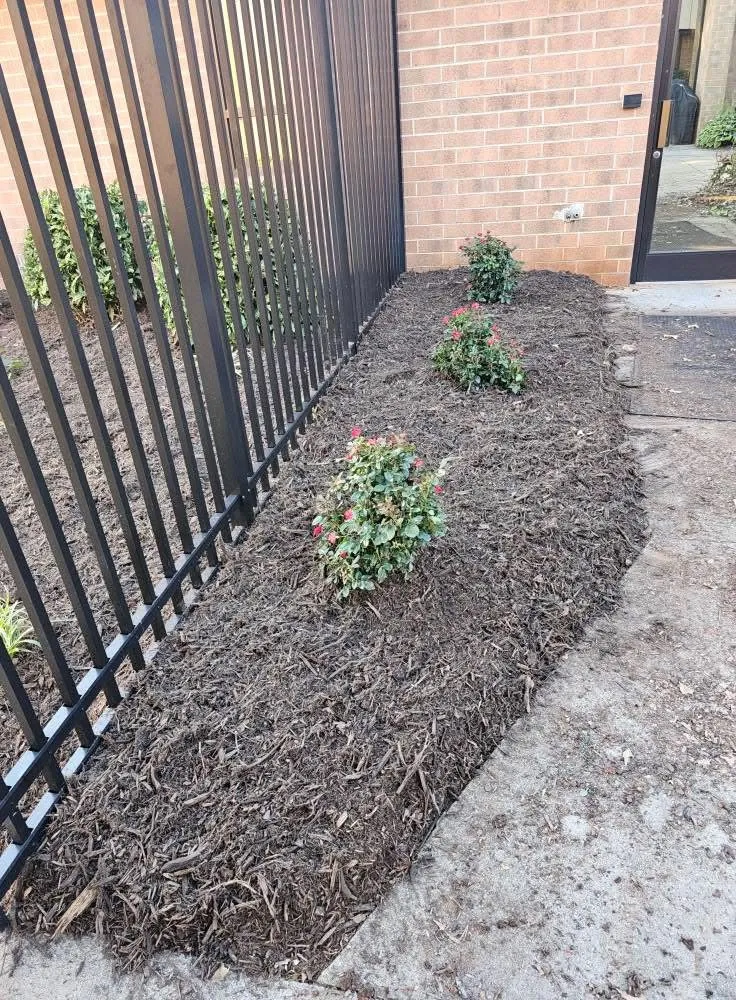 Local garden landscaping in Claremont, NC - Andy’s Lawn Care