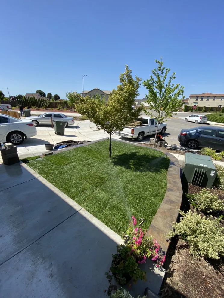 Top-rated landscaping services in Hollister, CA - Andy's Lawn Maintenance