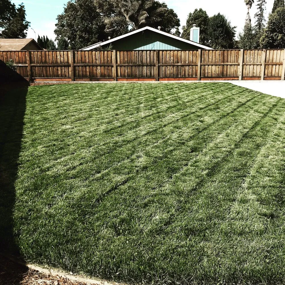 Affordable landscape installation experts serving Hollister, CA - Andy's Lawn Maintenance