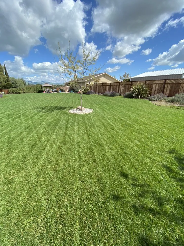 Expert landscaping services in Hollister, CA by Andy's Lawn Maintenance