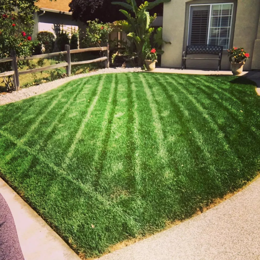 Local landscaping services for residential properties across Hollister, CA - Andy's Lawn Maintenance