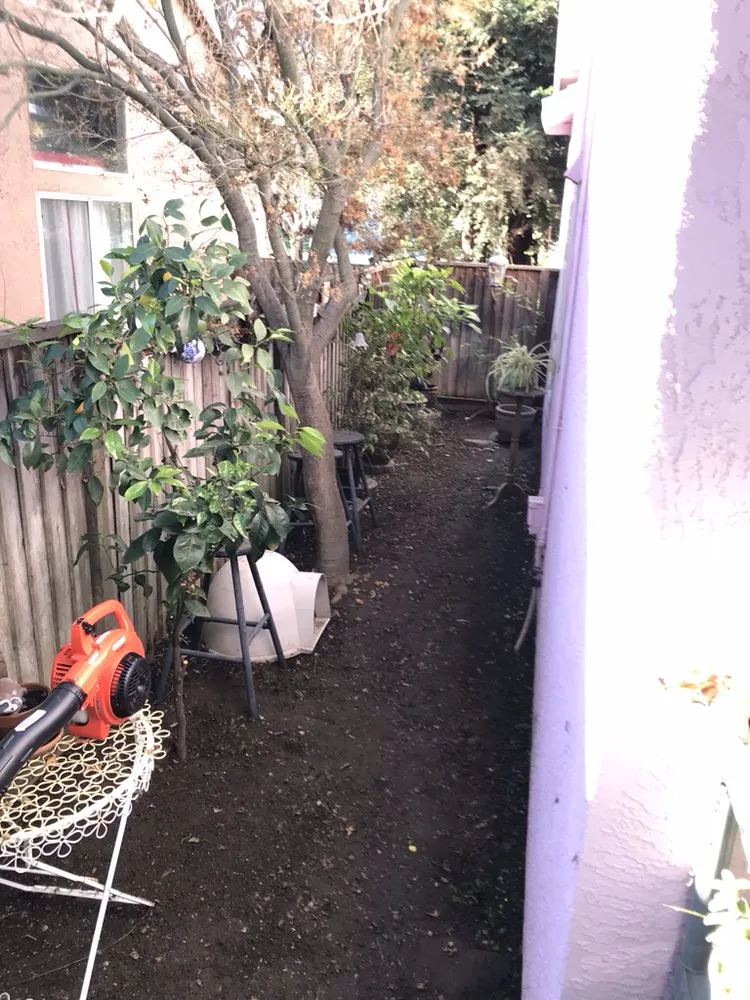 Trusted yard maintenance in Hollister, CA by Andy's Lawn Maintenance