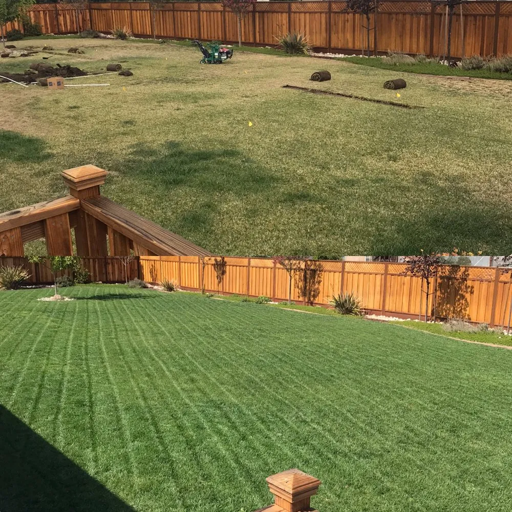 Professional landscape installation in Hollister, CA - Andy's Lawn Maintenance