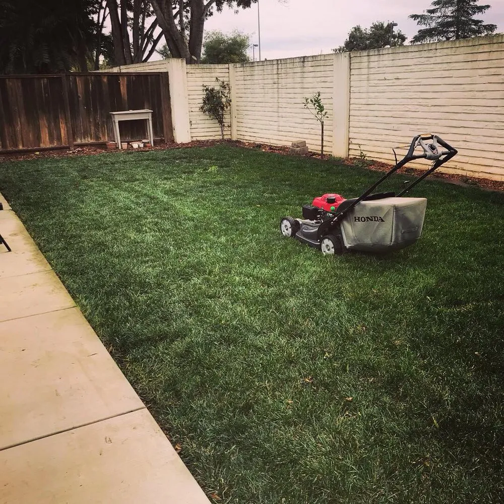 Affordable yard maintenance for residential properties across Hollister, CA - Andy's Lawn Maintenance
