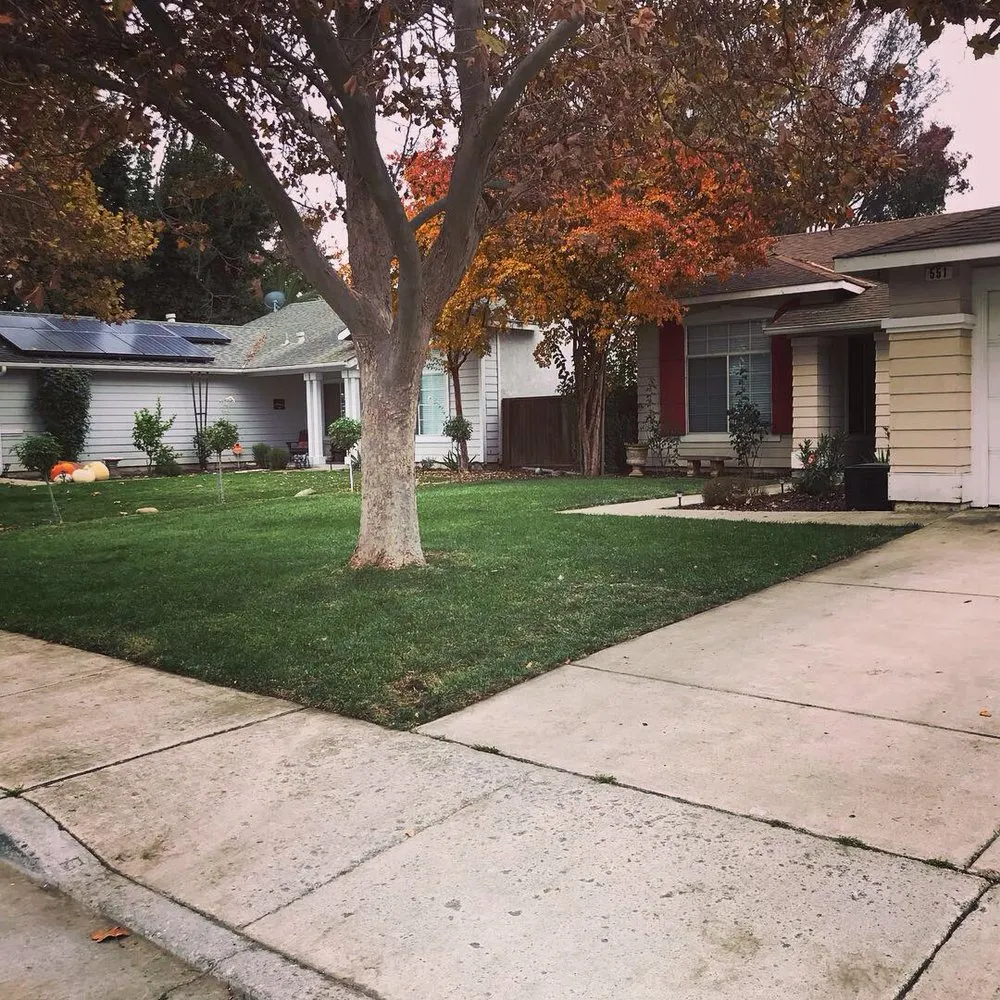 Affordable landscape design in Hollister, CA - Andy's Lawn Maintenance