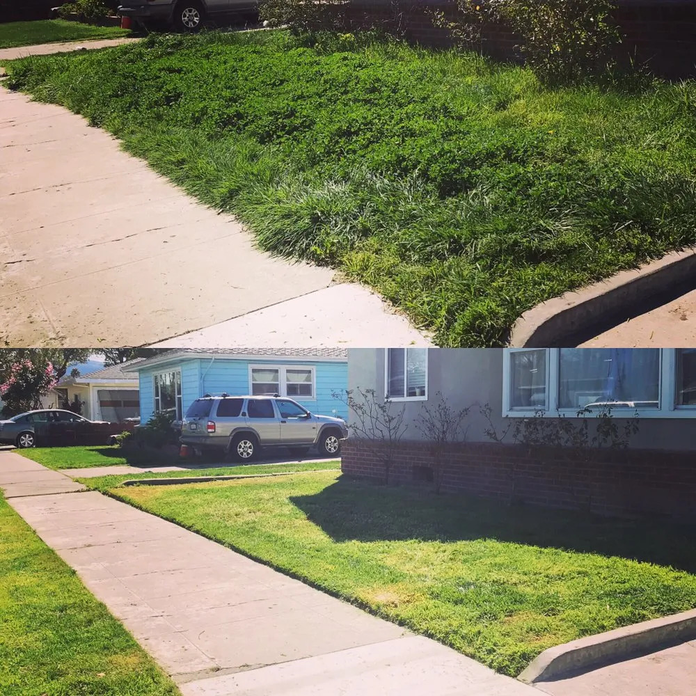 Custom lawn care service for homes across Hollister, CA - Andy's Lawn Maintenance