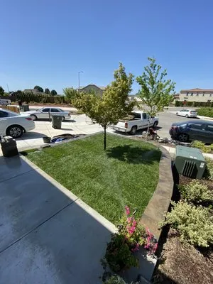 Andy's Lawn Maintenance Logo