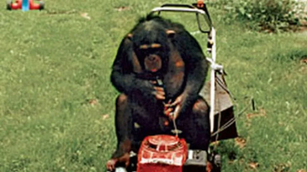 Custom residential landscaping in West Fork, AR by Andy's lawn mower ATV repair shop Fayetteville